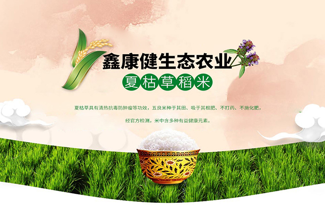 江西鑫康健生態(tài)農業(yè)開發(fā)有限公司