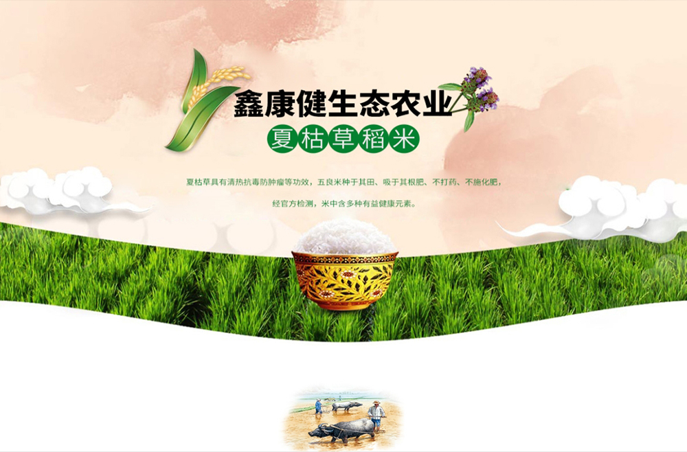 江西鑫康健生態(tài)農業(yè)開發(fā)有限公司